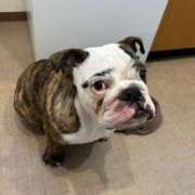 ヒメ日記 2025/11/07 14:02 投稿 らん フローラル