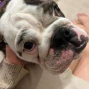 ヒメ日記 2025/11/10 22:33 投稿 らん フローラル