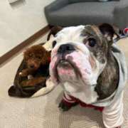 ヒメ日記 2025/12/06 17:41 投稿 らん フローラル