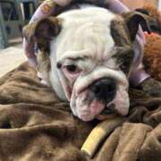 ヒメ日記 2025/12/08 13:46 投稿 らん フローラル