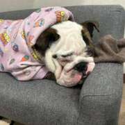 らん こんにちわ フローラル