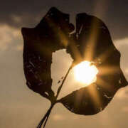 ヒメ日記 2025/09/28 16:11 投稿 しのぶ 熟女の風俗最終章 宇都宮店