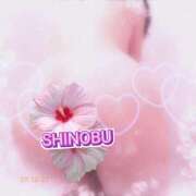 ヒメ日記 2025/12/27 20:11 投稿 しのぶ 熟女の風俗最終章 宇都宮店