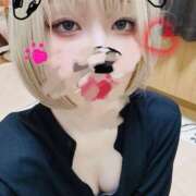 KOKORO おつかれさまでした(*´꒳`*) Salvador (サルバドール)