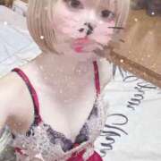 KOKORO 盛れてないけど近況報告✮ Salvador (サルバドール)