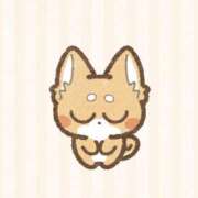 ヒメ日記 2025/05/29 15:04 投稿 ほたる 電車でGOAL！