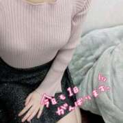 ヒメ日記 2025/06/01 09:10 投稿 ほたる 電車でGOAL！