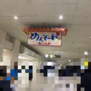 ヒメ日記 2025/06/08 11:24 投稿 ほたる 電車でGOAL！