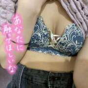 ヒメ日記 2025/06/21 11:05 投稿 ほたる 電車でGOAL！