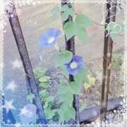 ヒメ日記 2025/08/02 08:32 投稿 綾乃 神戸回春性感マッサージ倶楽部