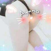 ヒメ日記 2025/11/26 03:52 投稿 綾乃 神戸回春性感マッサージ倶楽部