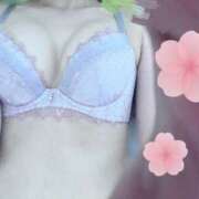 ヒメ日記 2025/07/29 21:17 投稿 みお OH！PAI