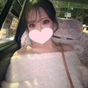 ヒメ日記 2025/05/25 15:04 投稿 大原すみれ ブルーバード