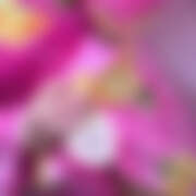 ヒメ日記 2025/08/07 12:32 投稿 はな アイドルリーグ