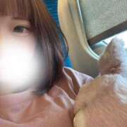 ヒメ日記 2025/08/11 12:31 投稿 さな 舐めたくてグループ～君とサプライズ学園～越谷校