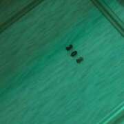 ヒメ日記 2025/06/02 22:48 投稿 りさ タレント倶楽部アダルト