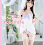 ヒメ日記 2025/06/16 12:30 投稿 こはく えちちSPA-えっちな回春性感マッサージ-五反田店