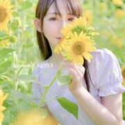 ヒメ日記 2025/07/10 14:30 投稿 こはく えちちSPA-えっちな回春性感マッサージ-五反田店