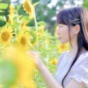 ヒメ日記 2025/07/11 22:30 投稿 こはく えちちSPA-えっちな回春性感マッサージ-五反田店