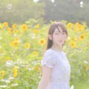 ヒメ日記 2025/07/29 12:03 投稿 こはく えちちSPA-えっちな回春性感マッサージ-五反田店