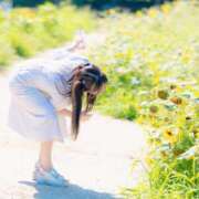 ヒメ日記 2025/08/26 20:30 投稿 こはく えちちSPA-えっちな回春性感マッサージ-五反田店