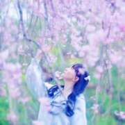 ヒメ日記 2026/02/03 15:05 投稿 こはく えちちSPA-えっちな回春性感マッサージ-五反田店