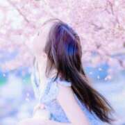 ヒメ日記 2026/03/19 01:15 投稿 こはく えちちSPA-えっちな回春性感マッサージ-五反田店