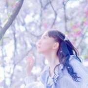 ヒメ日記 2026/04/01 06:00 投稿 こはく えちちSPA-えっちな回春性感マッサージ-五反田店