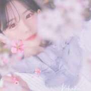 ヒメ日記 2026/04/09 07:30 投稿 こはく えちちSPA-えっちな回春性感マッサージ-五反田店