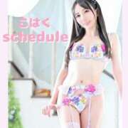 ヒメ日記 2026/04/13 05:30 投稿 こはく えちちSPA-えっちな回春性感マッサージ-五反田店