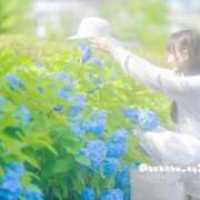 ヒメ日記 2026/05/26 11:50 投稿 こはく えちちSPA-えっちな回春性感マッサージ-五反田店