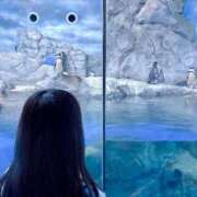 ヒメ日記 2025/06/21 11:45 投稿 ミキ よくばりFlavor