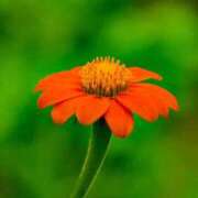 ヒメ日記 2025/10/16 12:07 投稿 真壁なつみ 西川口風俗ド淫乱ンド