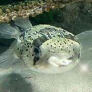 ヒメ日記 2025/11/01 08:49 投稿 真壁なつみ 西川口風俗ド淫乱ンド