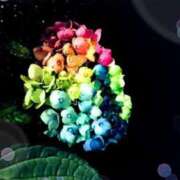 ヒメ日記 2026/01/22 19:26 投稿 真壁なつみ 西川口風俗ド淫乱ンド