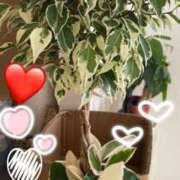 ヒメ日記 2025/08/27 09:59 投稿 じゅん 熊本ちゃんこ　八代店