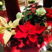 ヒメ日記 2025/07/26 12:25 投稿 琴音先生 女教師