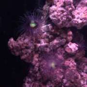 ヒメ日記 2025/08/23 18:15 投稿 琴音先生 女教師