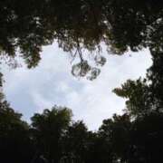 ヒメ日記 2025/08/27 16:55 投稿 琴音先生 女教師