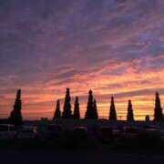 ヒメ日記 2025/08/29 19:05 投稿 琴音先生 女教師