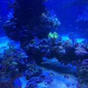 ヒメ日記 2025/09/09 14:25 投稿 琴音先生 女教師