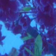 ヒメ日記 2025/09/16 16:55 投稿 琴音先生 女教師