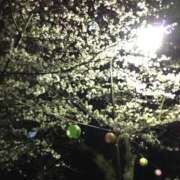 ヒメ日記 2025/09/16 20:05 投稿 琴音先生 女教師