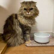 ヒメ日記 2025/09/05 10:13 投稿 ななえ ～優しい若妻倶楽部～Mrs.女神