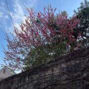 ヒメ日記 2026/03/09 21:25 投稿 ななえ ～優しい若妻倶楽部～Mrs.女神