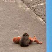 ヒメ日記 2026/03/20 17:32 投稿 ななえ ～優しい若妻倶楽部～Mrs.女神