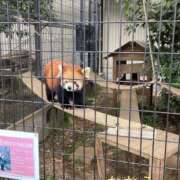 ヒメ日記 2026/03/26 11:07 投稿 ななえ ～優しい若妻倶楽部～Mrs.女神