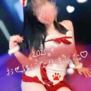 いくら 🎄完🎄 アラビアンナイト