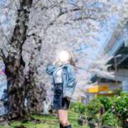 ヒメ日記 2026/03/31 13:54 投稿 とあ I♥KASUKABE(アイラブ春日部)