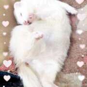 ヒメ日記 2025/06/16 22:43 投稿 りょう 吉祥寺大人めシンデレラ（シンデレラグループ）